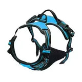 Dog Collars Harness Big Vests Leash